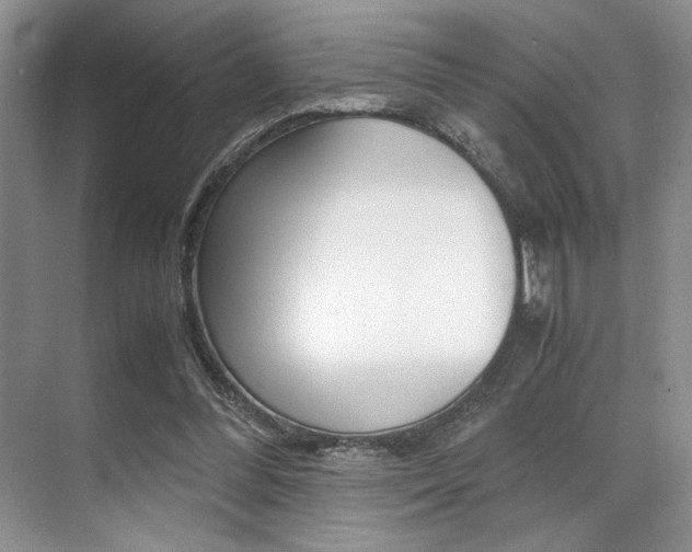 X0000071950300200607071046
