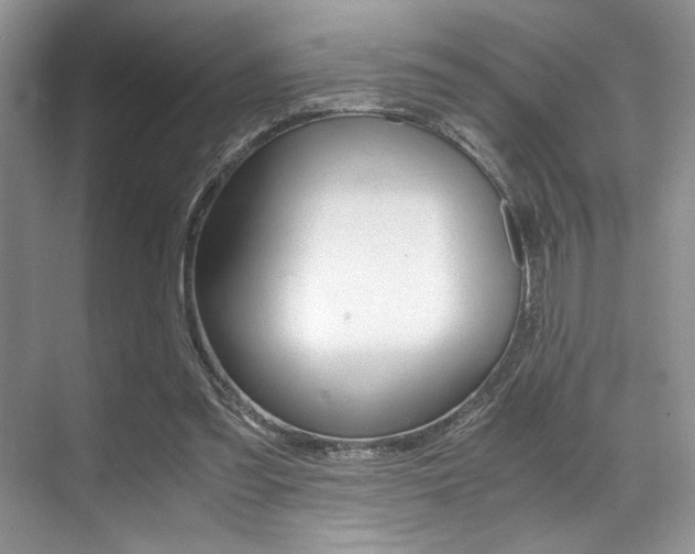 X0000071950301200607071046