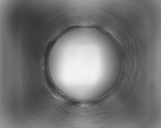 X0000071950303200607071046