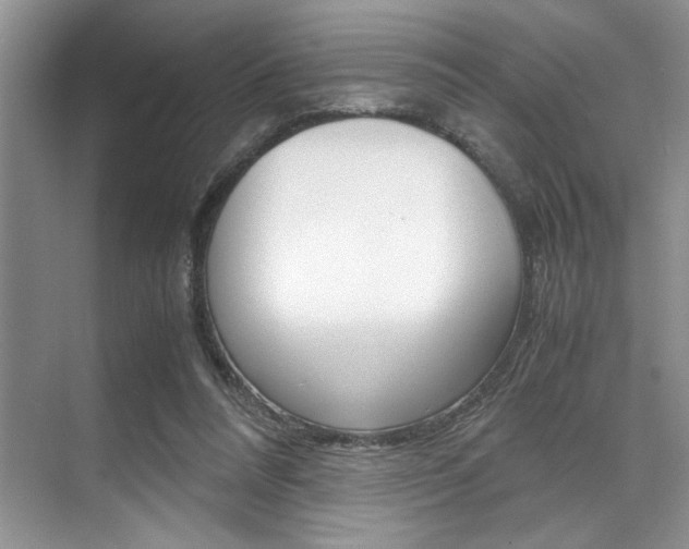 X0000071950304200607071046