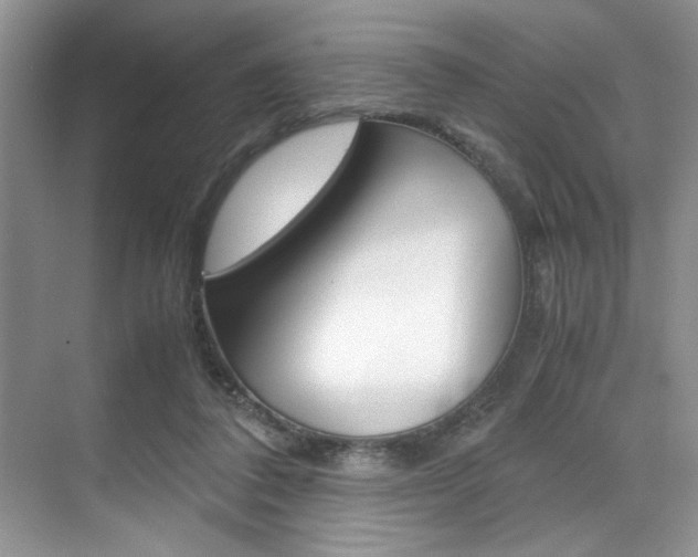 X0000071950308200607071046