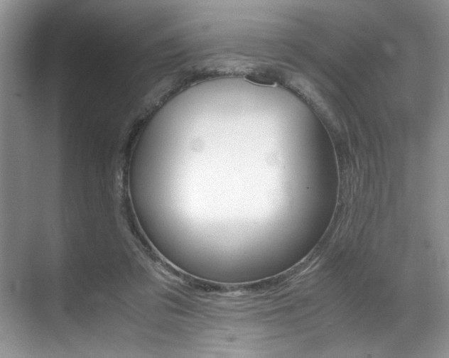 X0000071950309200607071046