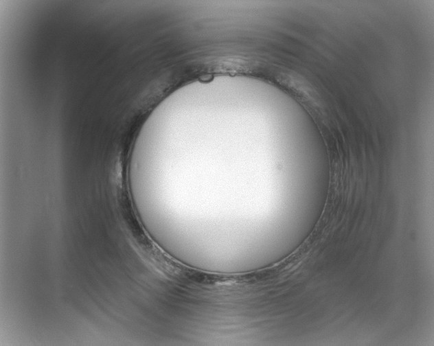 X0000071950310200607071046