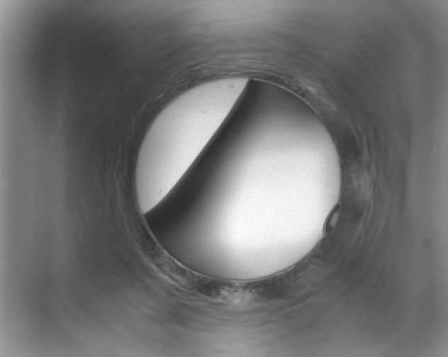 X0000071950311200607071046