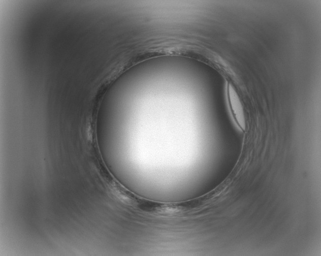 X0000071950313200607071046