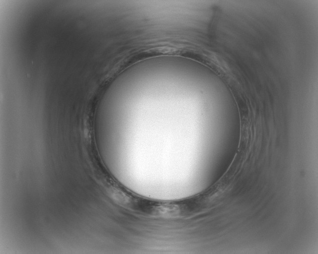 X0000071950317200607071046