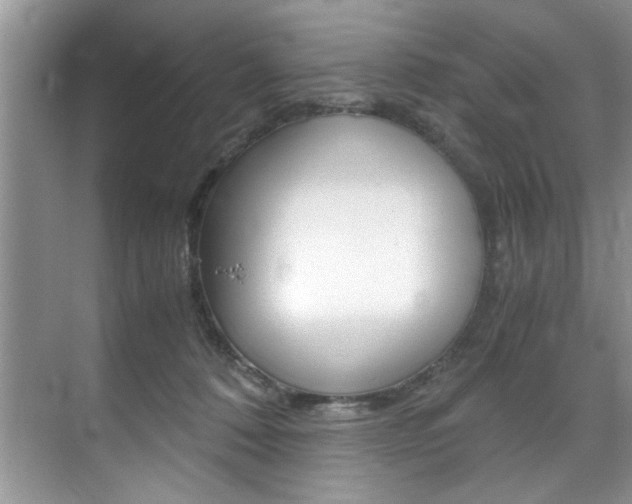 X0000071950320200607071046