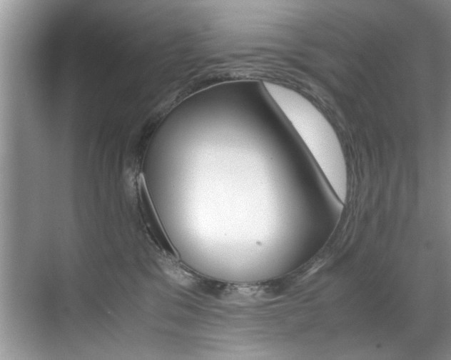 X0000071950329200607071045