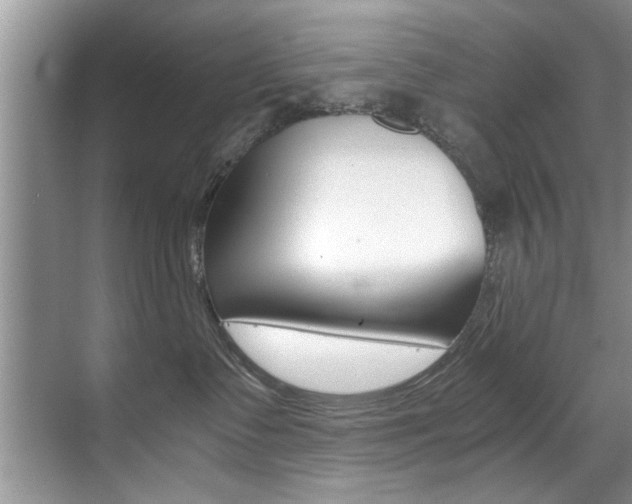 X0000071950335200607071045