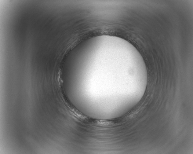 X0000071950336200607071045