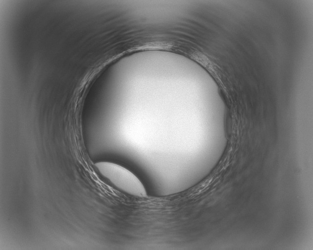 X0000071950337200607071045
