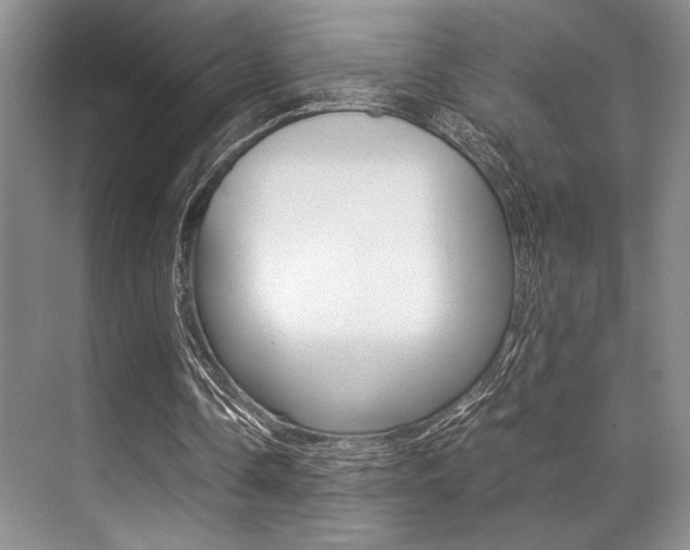 X0000071950338200607071045