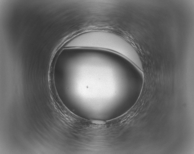 X0000071950340200607071045