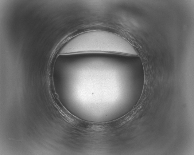 X0000071950341200607071045