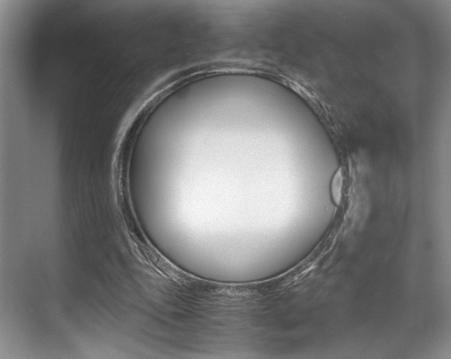 X0000071950343200607071045