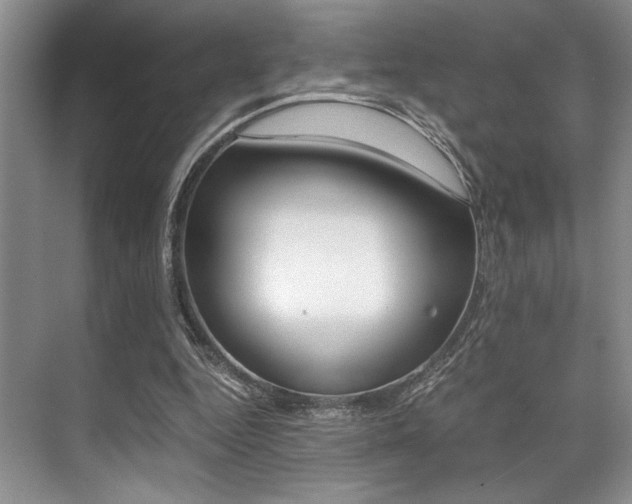 X0000071950344200607071045