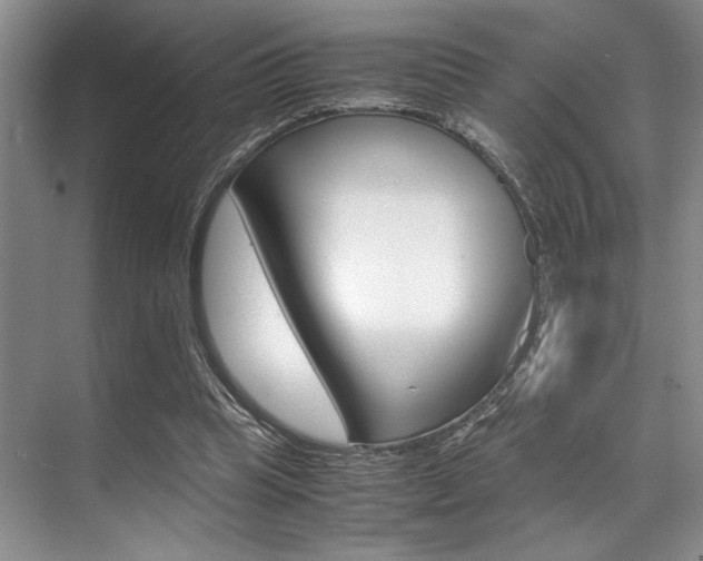 X0000071950345200607071045