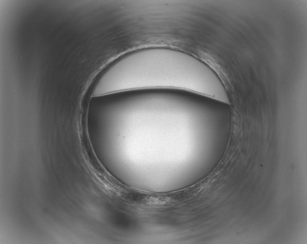 X0000071950346200607071045