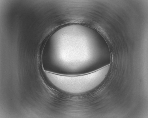 X0000071950348200607071045