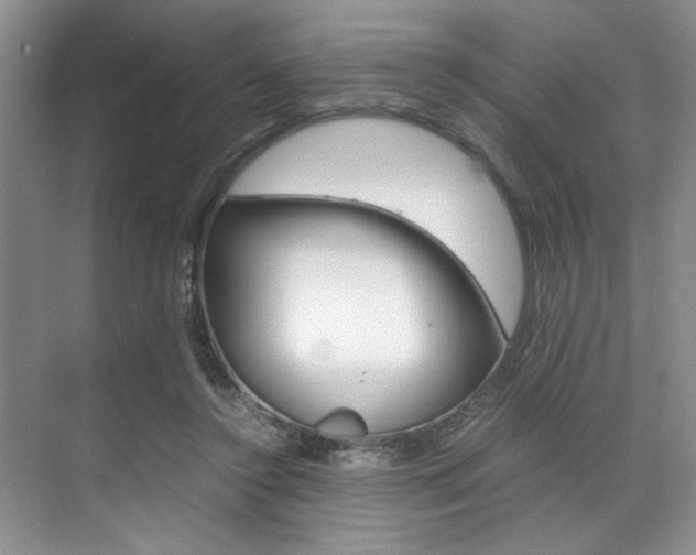 X0000071950356200607071045