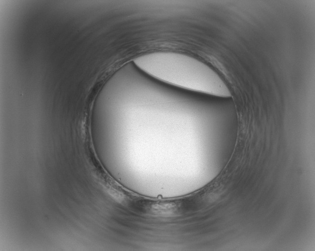 X0000071950357200607071045