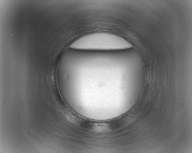 X0000071950363200607071045