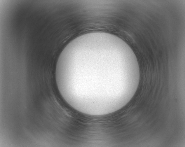 X0000071950364200607071045