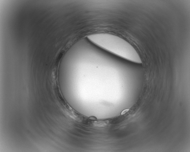 X0000071950373200607071045