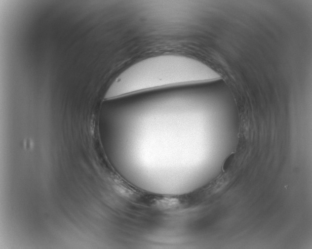 X0000071950374200607071045