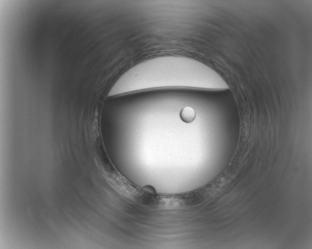 X0000071950376200607071045