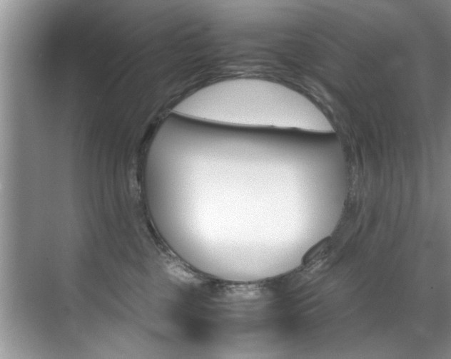 X0000071950377200607071045