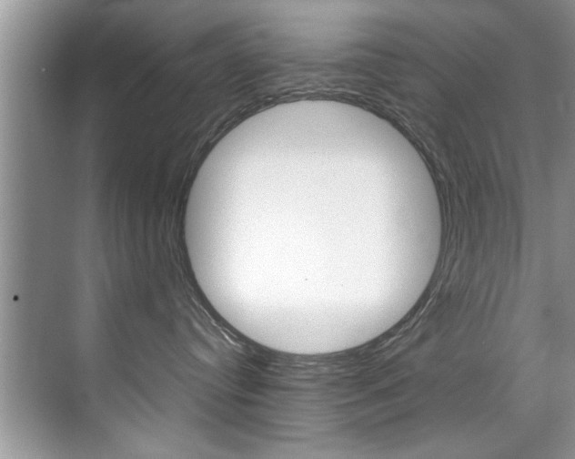 X0000071950384200607071045
