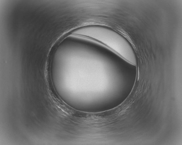X0000071950387200607071044