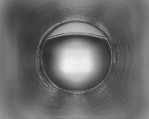 X0000071950388200607071044