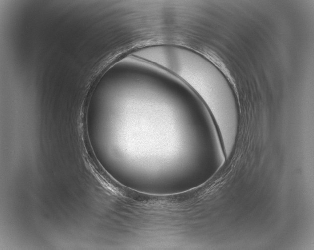 X0000071950389200607071044