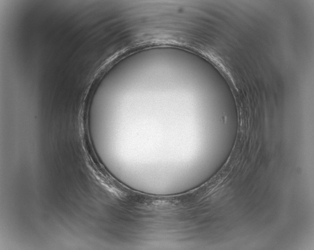 X0000071950390200607071044