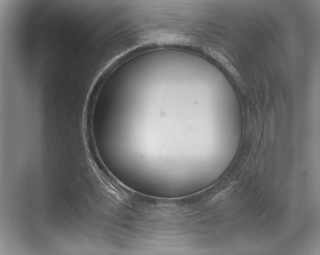 X0000071950391200607071044