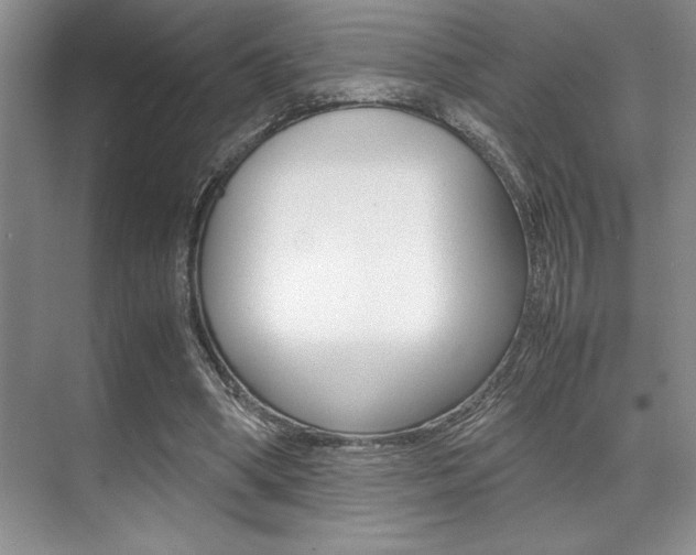 X0000071950394200607071044
