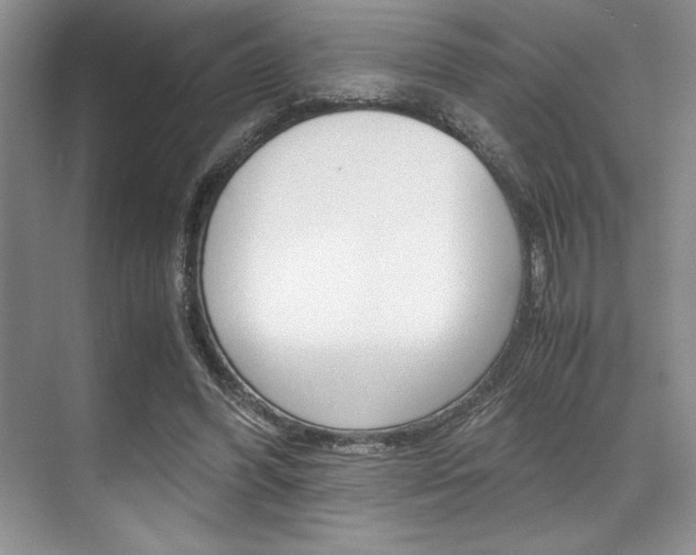X0000071950396200607071044