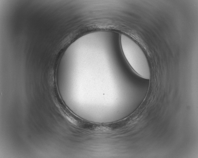 X0000071950397200607071044