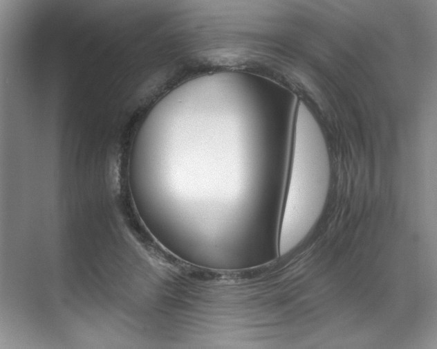 X0000071950404200607071044