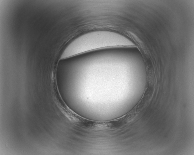 X0000071950405200607071044