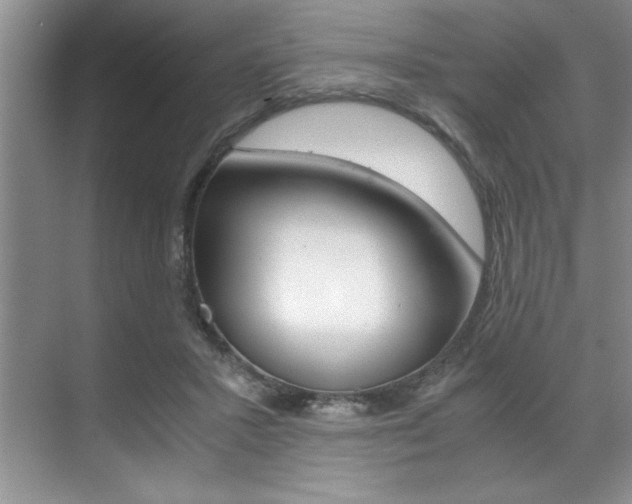 X0000071950407200607071044