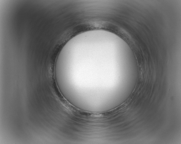 X0000071950410200607071044