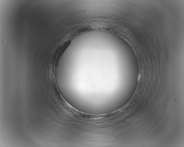 X0000071950411200607071044