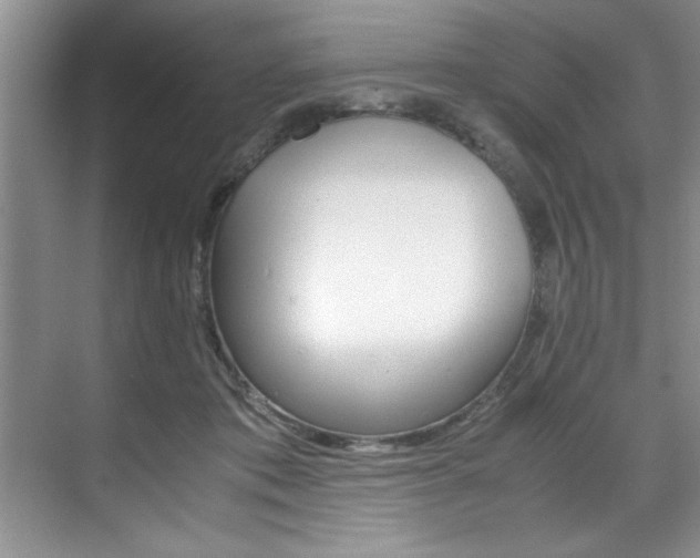 X0000071950413200607071044