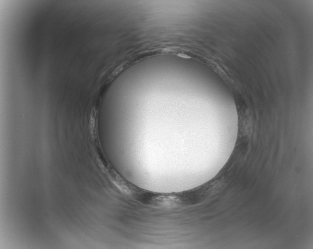 X0000071950427200607071044