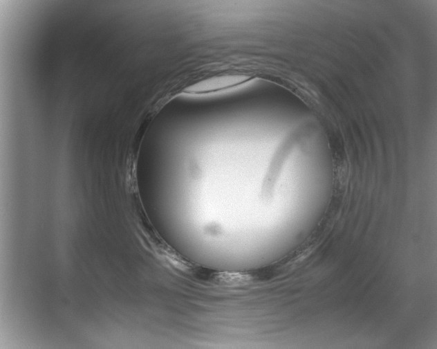 X0000071950429200607071044