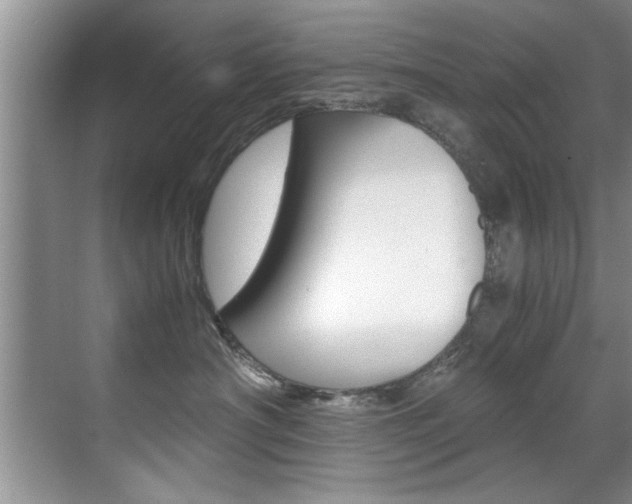 X0000071950430200607071044