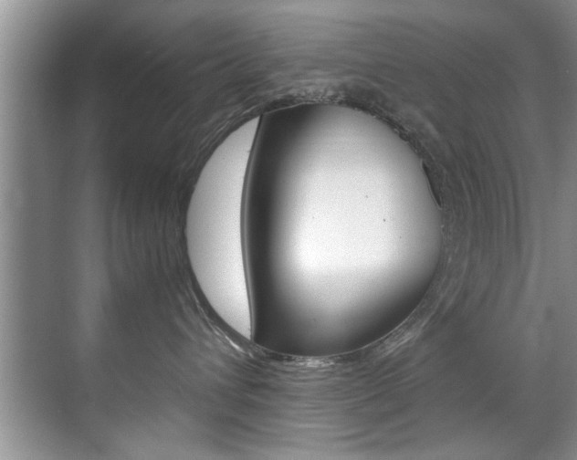 X0000071950432200607071044